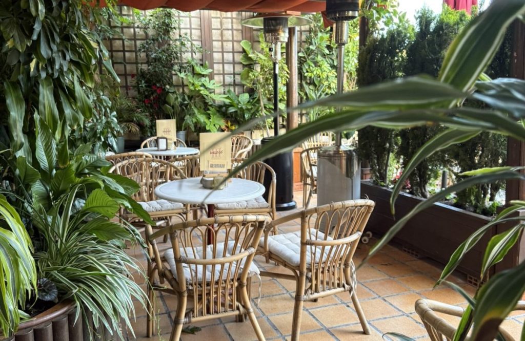 Café Delfos - Café Delfos in Benicarló